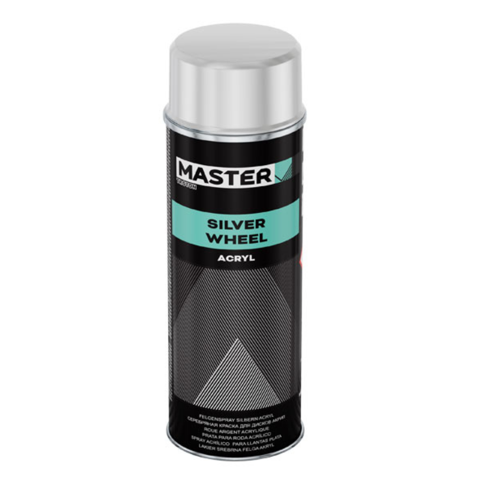 MASTER Acryl Paint Silver Rims Paint